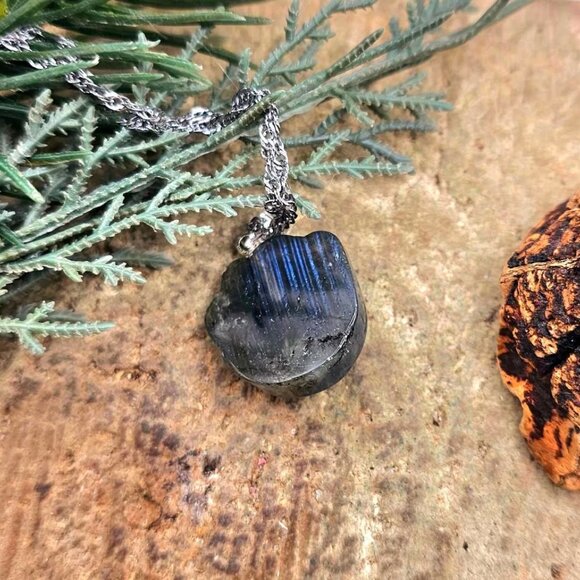 Nature Labradorite Carved Flashy Cute Animal Paw Pendant Necklace - Picture 5 of 10